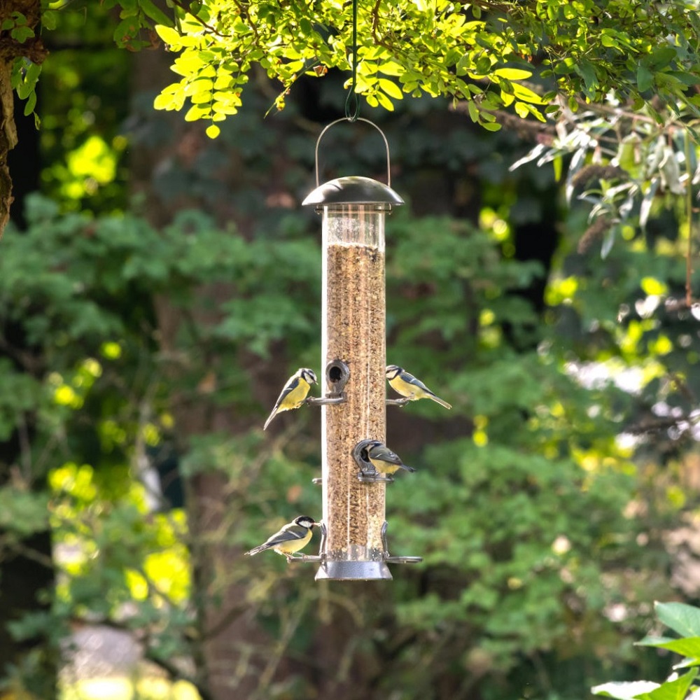 Adventurer 6 Port Seed Feeder