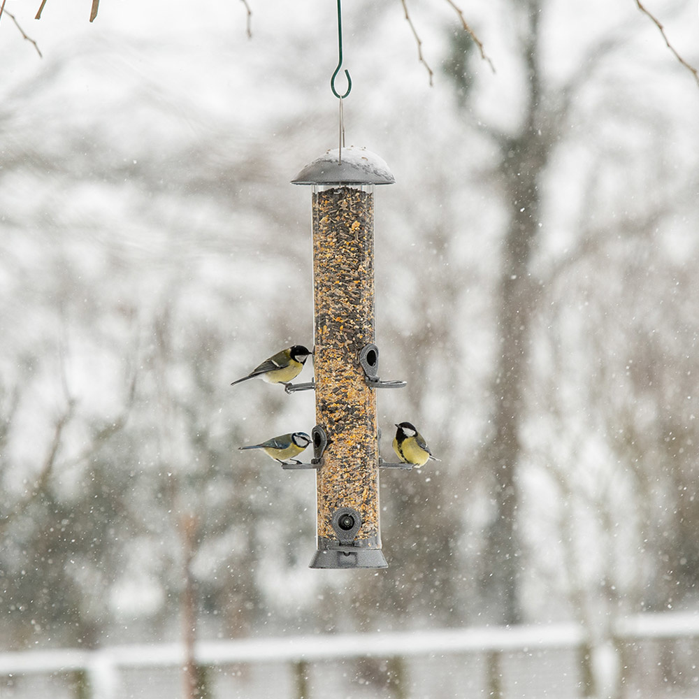 Adventurer Metal Seed Feeder