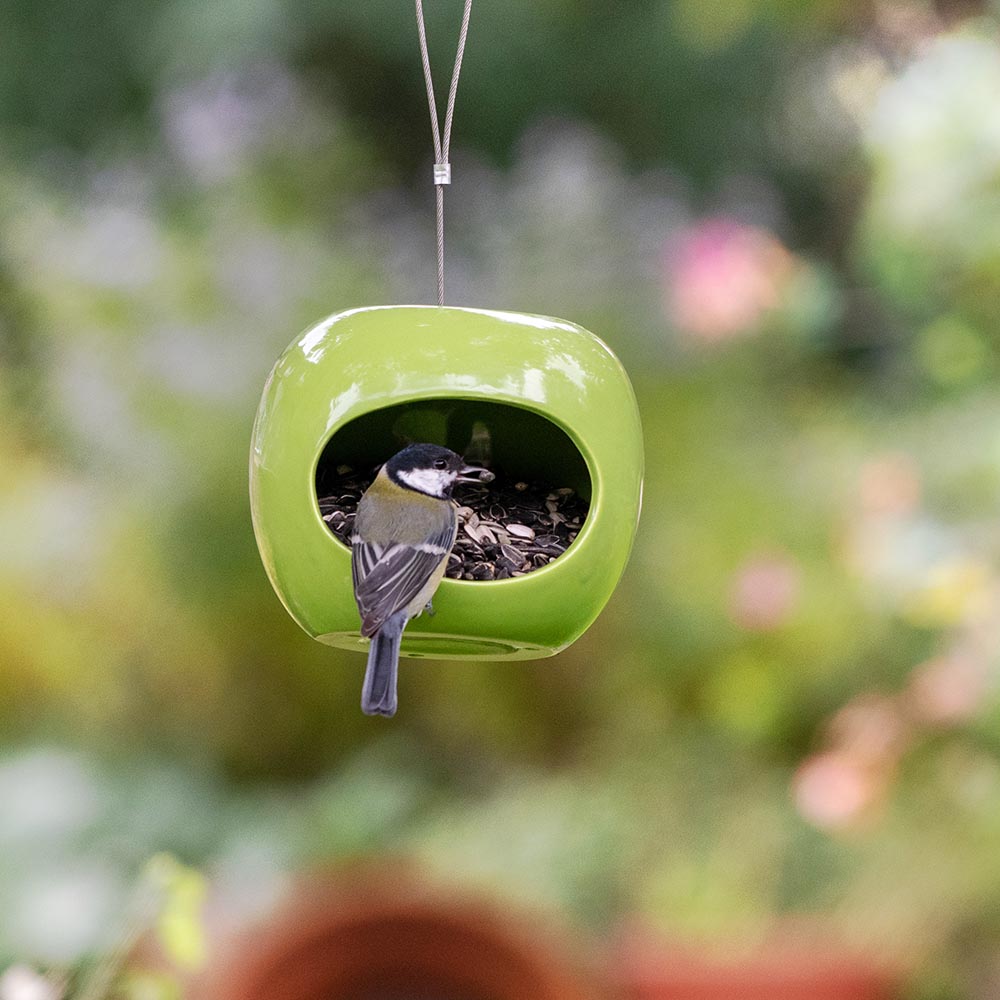 Apple Shaped Bird Feeder 