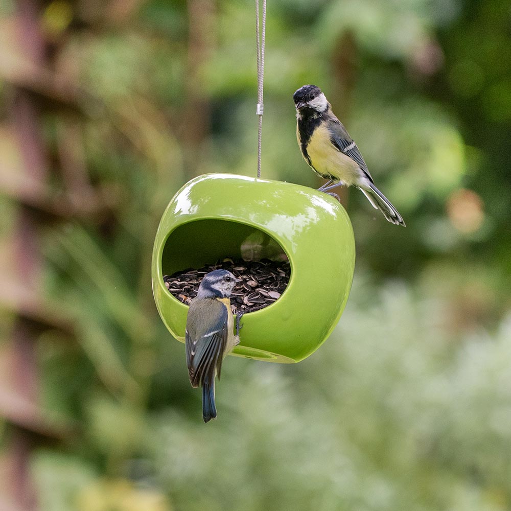 Apple Shaped Bird Feeder 