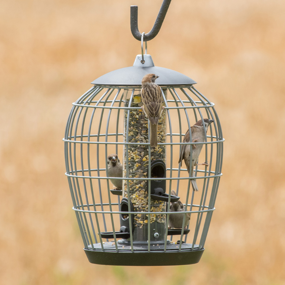 Schutz-Futtersäule für kleine Vögel „Aura“