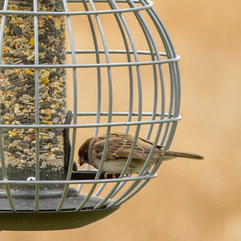 Beschermsilo voor kleine vogels Athena