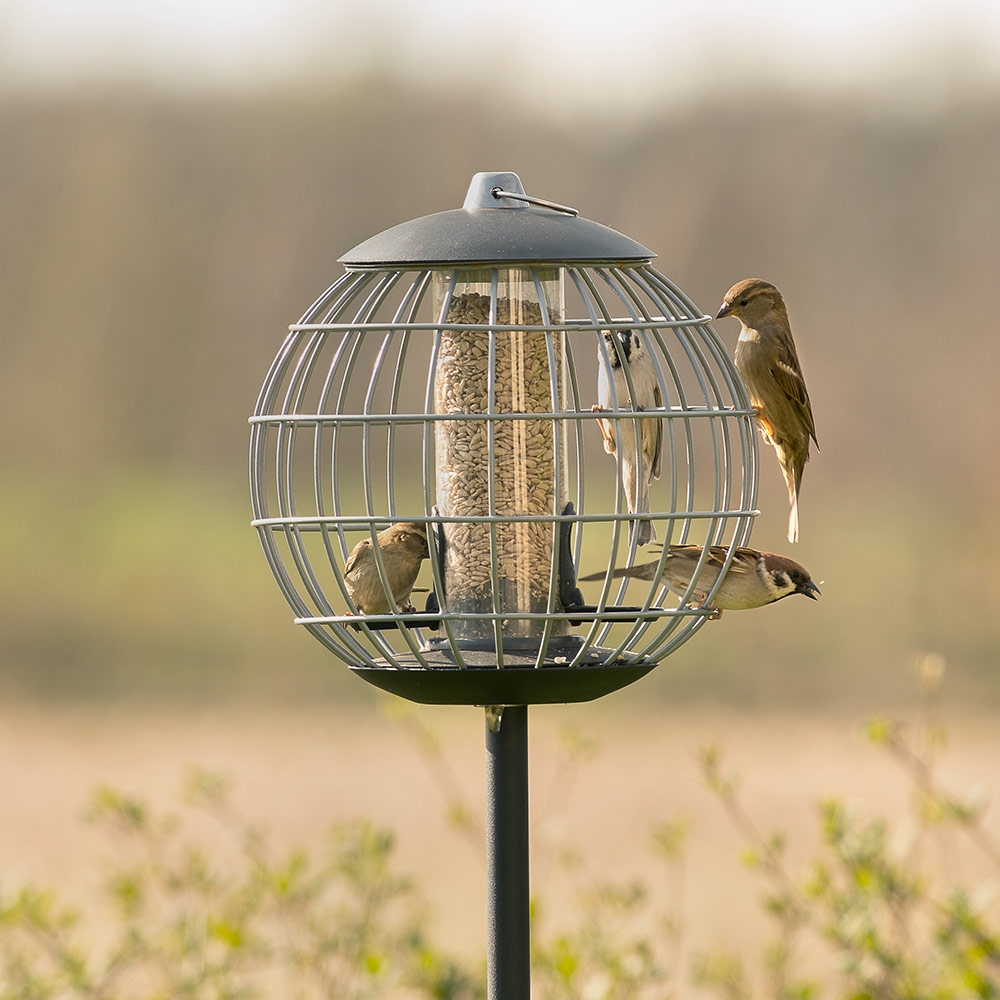 Beschermsilo voor kleine vogels Athena