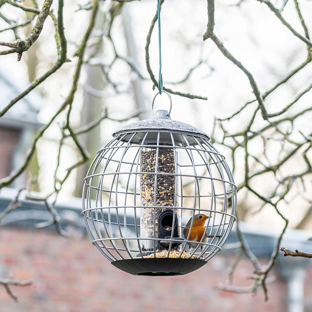 Beschermsilo voor kleine vogels Athena