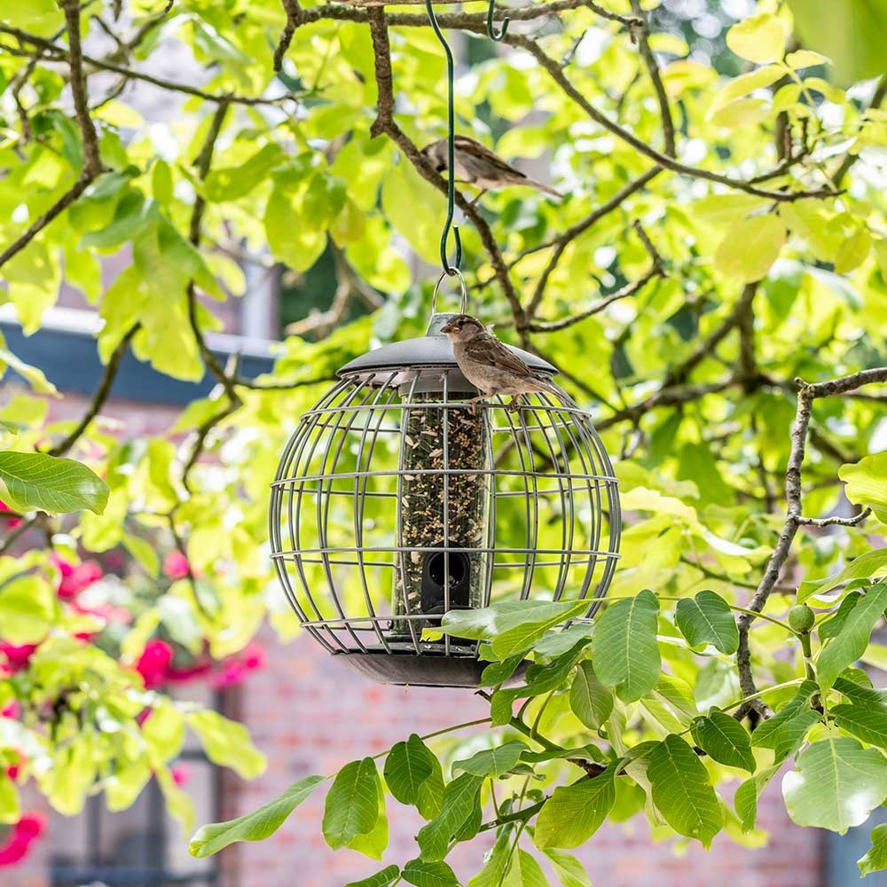 Silo et cage de protection pour petits oiseaux Athena 