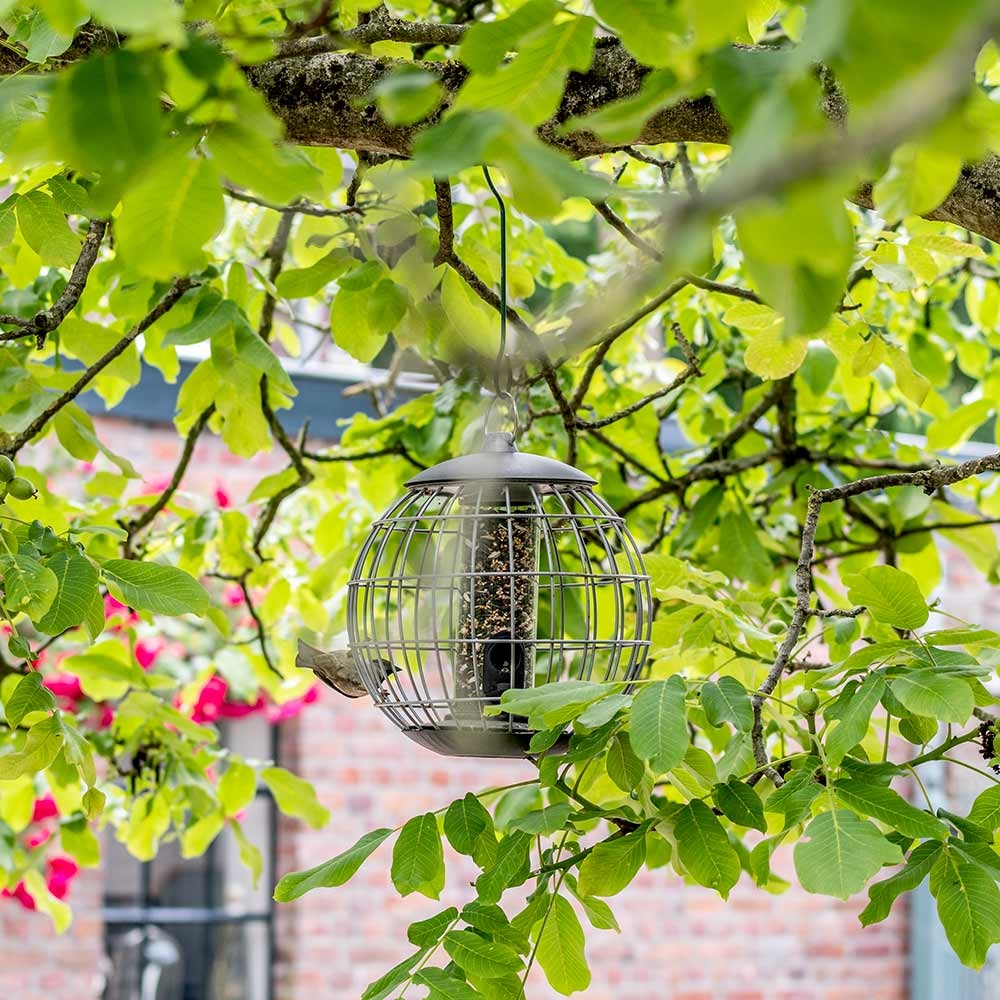 Beschermsilo voor kleine vogels Athena