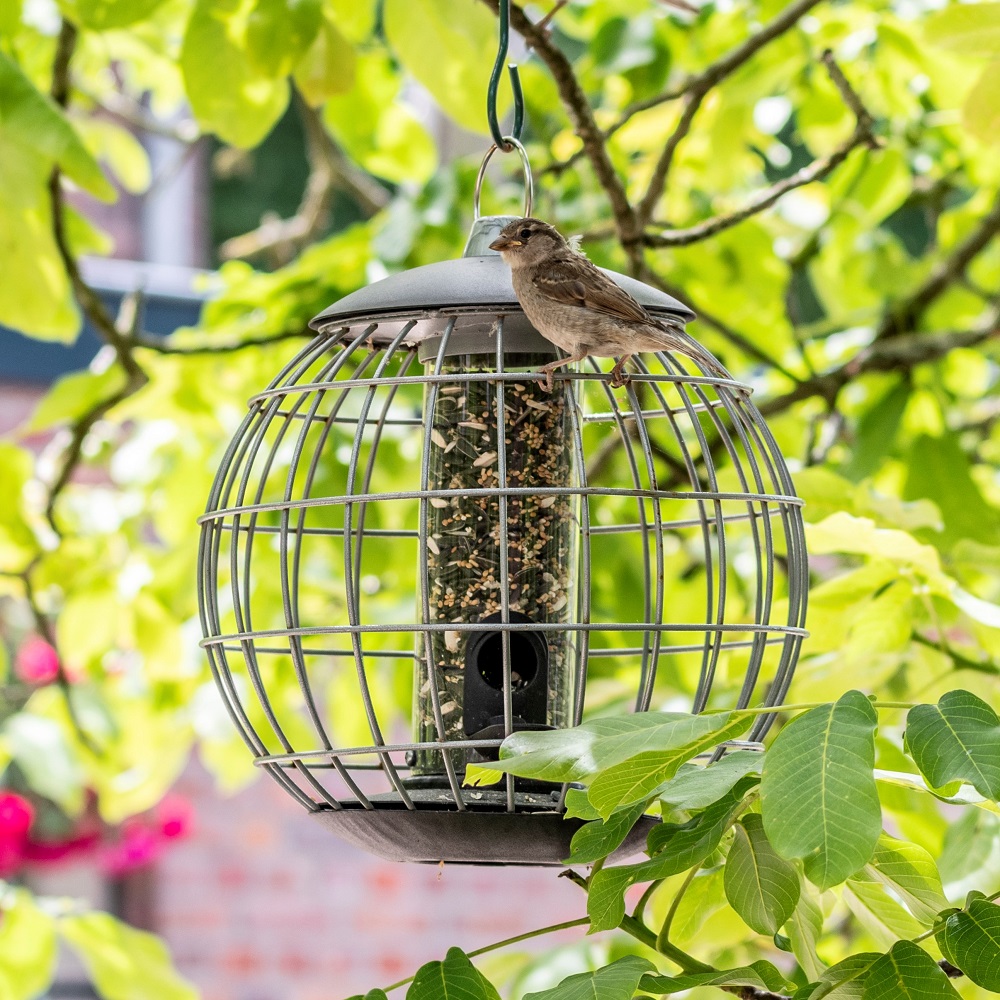 Beschermsilo voor kleine vogels Athena