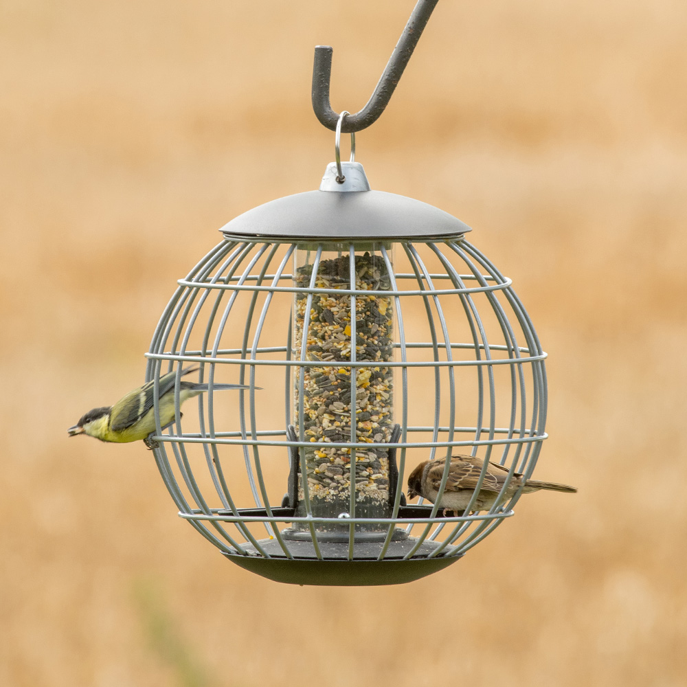 National Trust Athena Bird Seed Guardian Feeder