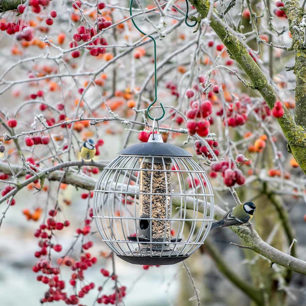 National Trust Athena Bird Seed Guardian Feeder