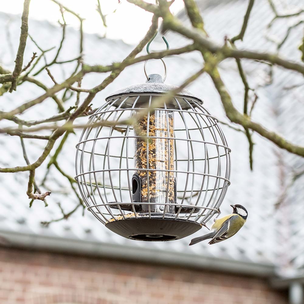 National Trust Athena Bird Seed Guardian Feeder