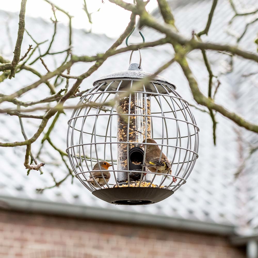 National Trust Athena Bird Seed Guardian Feeder