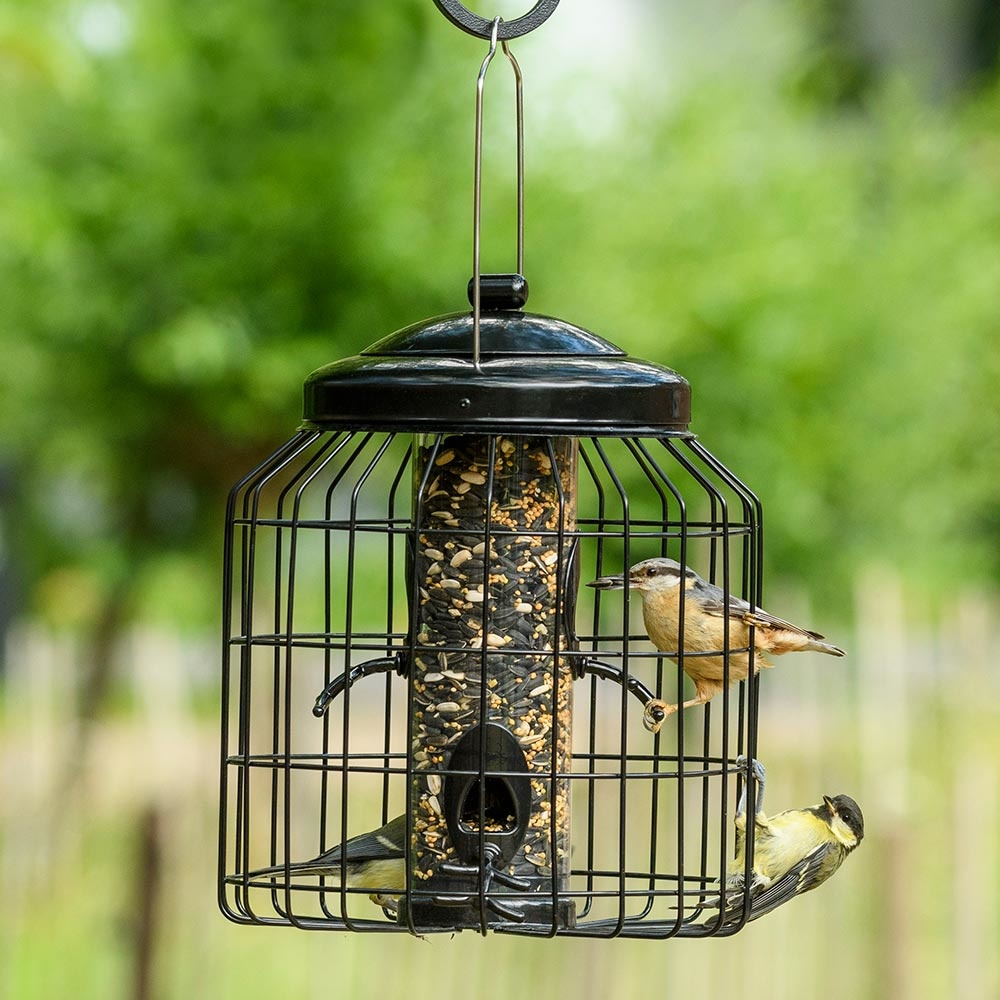 Schutz-Futtersäule für kleine Vögel „Brüssel“ 