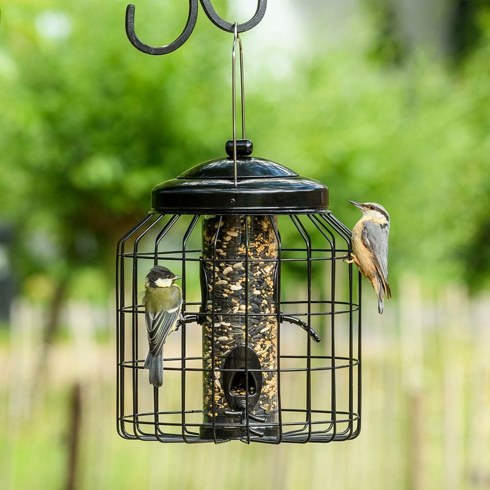 Brussels Bird Seed Feeder Guardian Pack