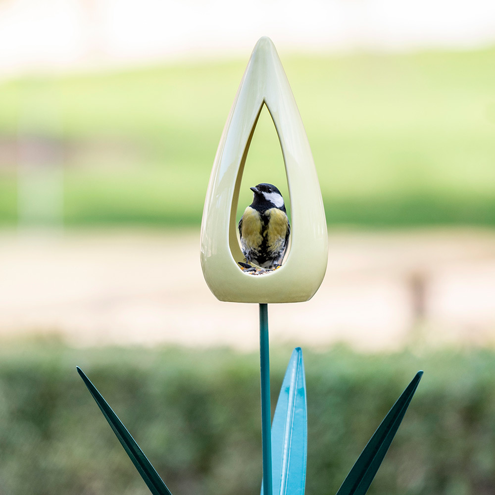 Voedertulp, verkrijgbaar in 3 pastelkleuren