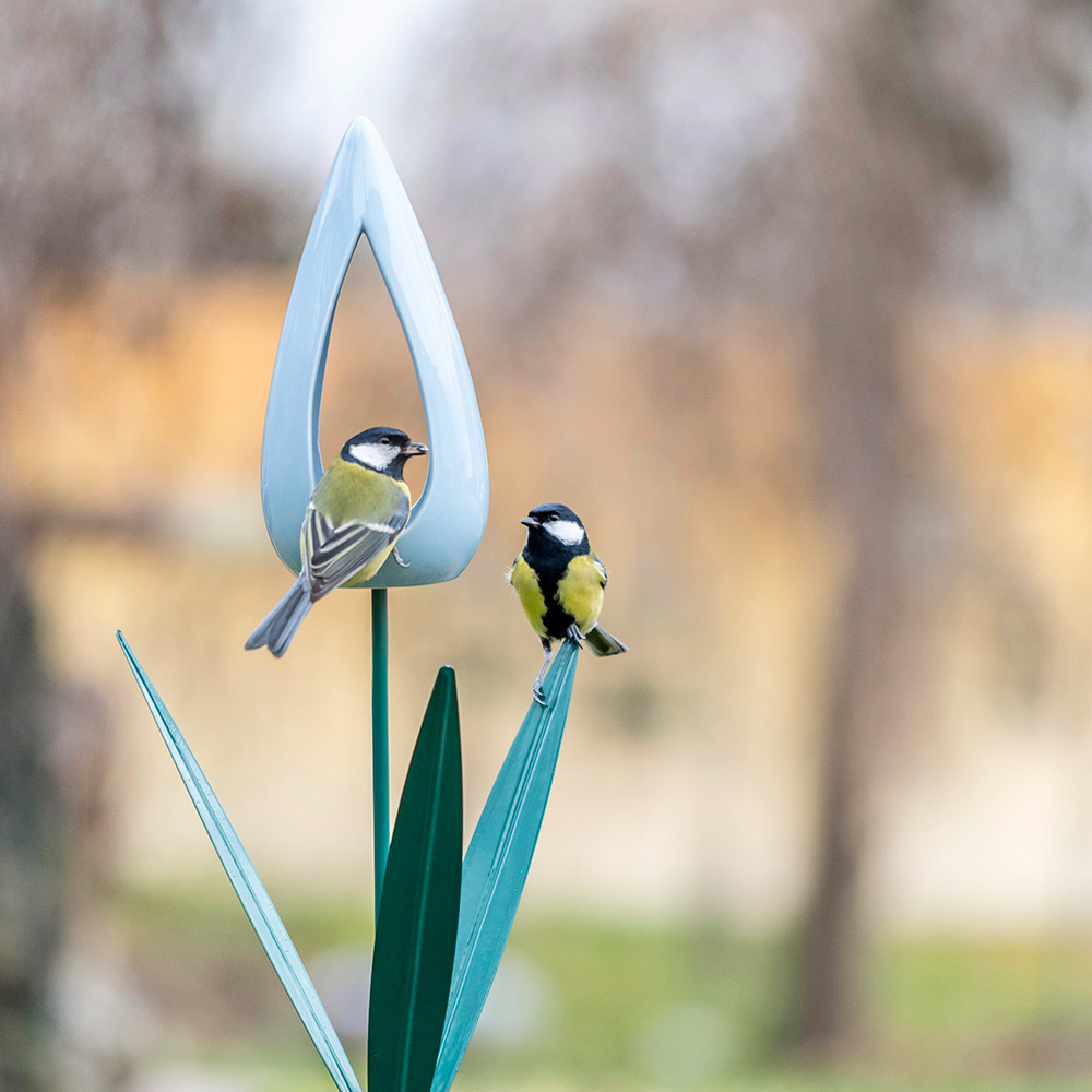 Tulip Bird Feeder - Blue