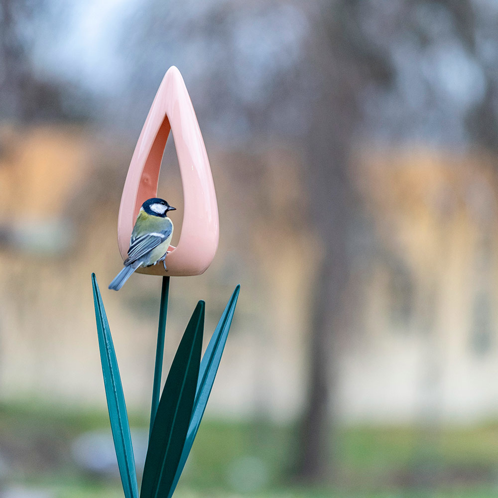 Tulip Bird Feeder on pole