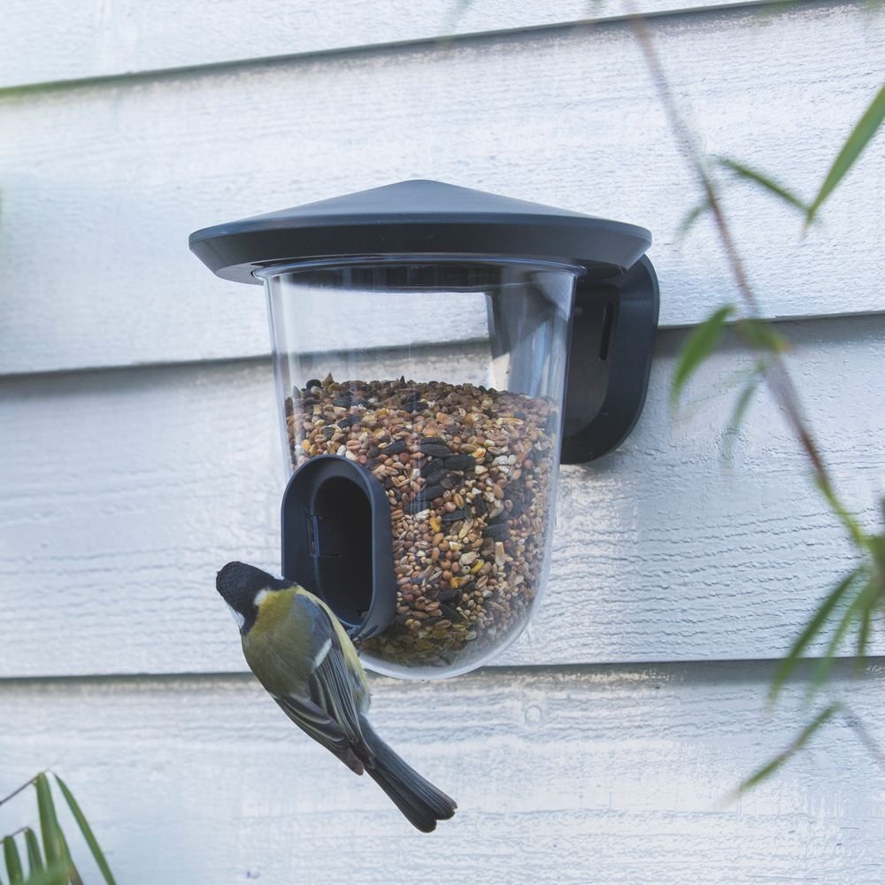 FeedR Bird Seed Feeder