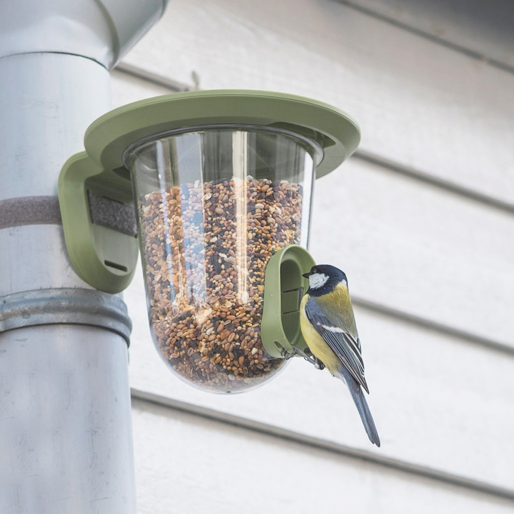 FeedR Bird Seed Feeder (Wild Green)