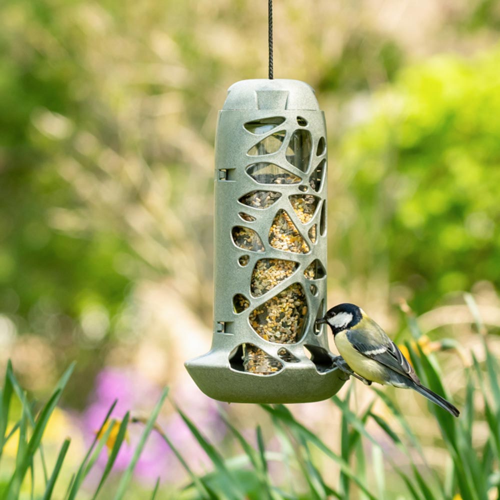 Tara Bird Seed Feeder