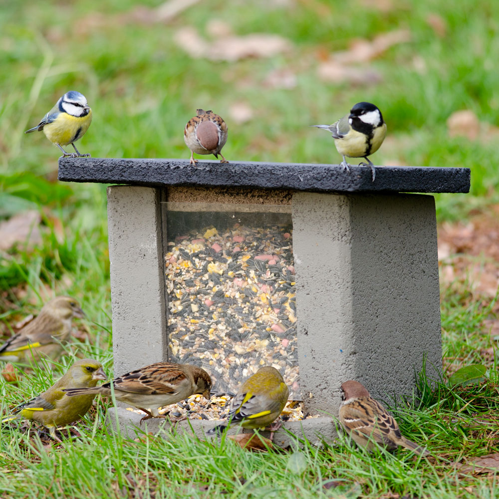 WoodStone® Ground Feeder