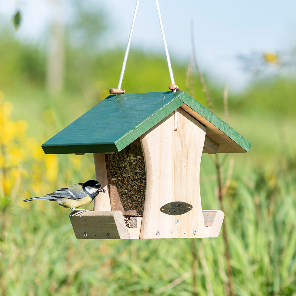 Colorado Seed Feeder