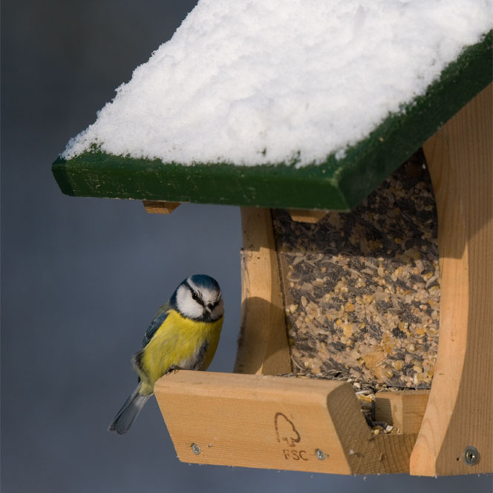 Colorado Seed Feeder