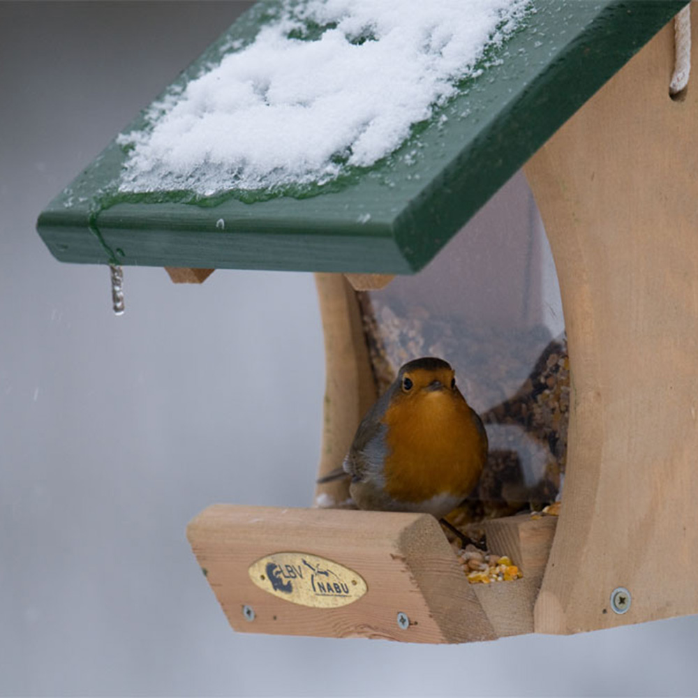 Colorado Seed Feeder