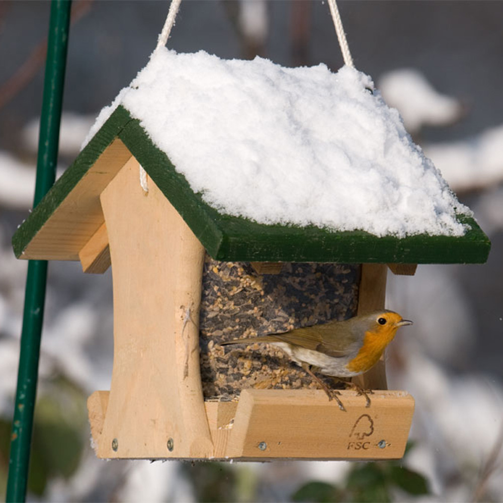 Colorado Seed Feeder