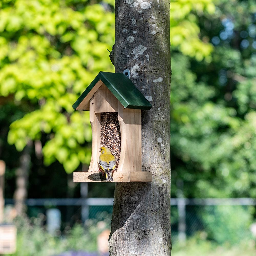 Mississippi Wooden Seed Feeder