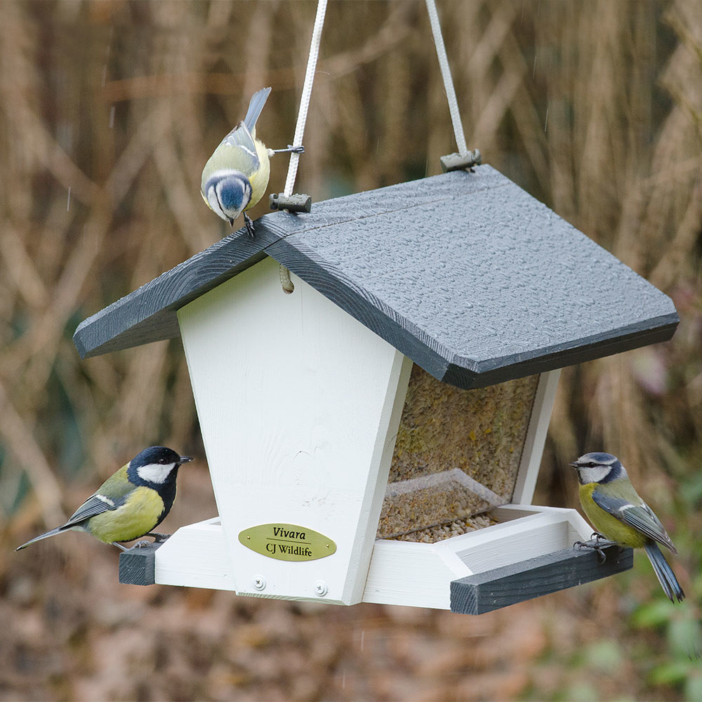 Geneva Bird Feeding House