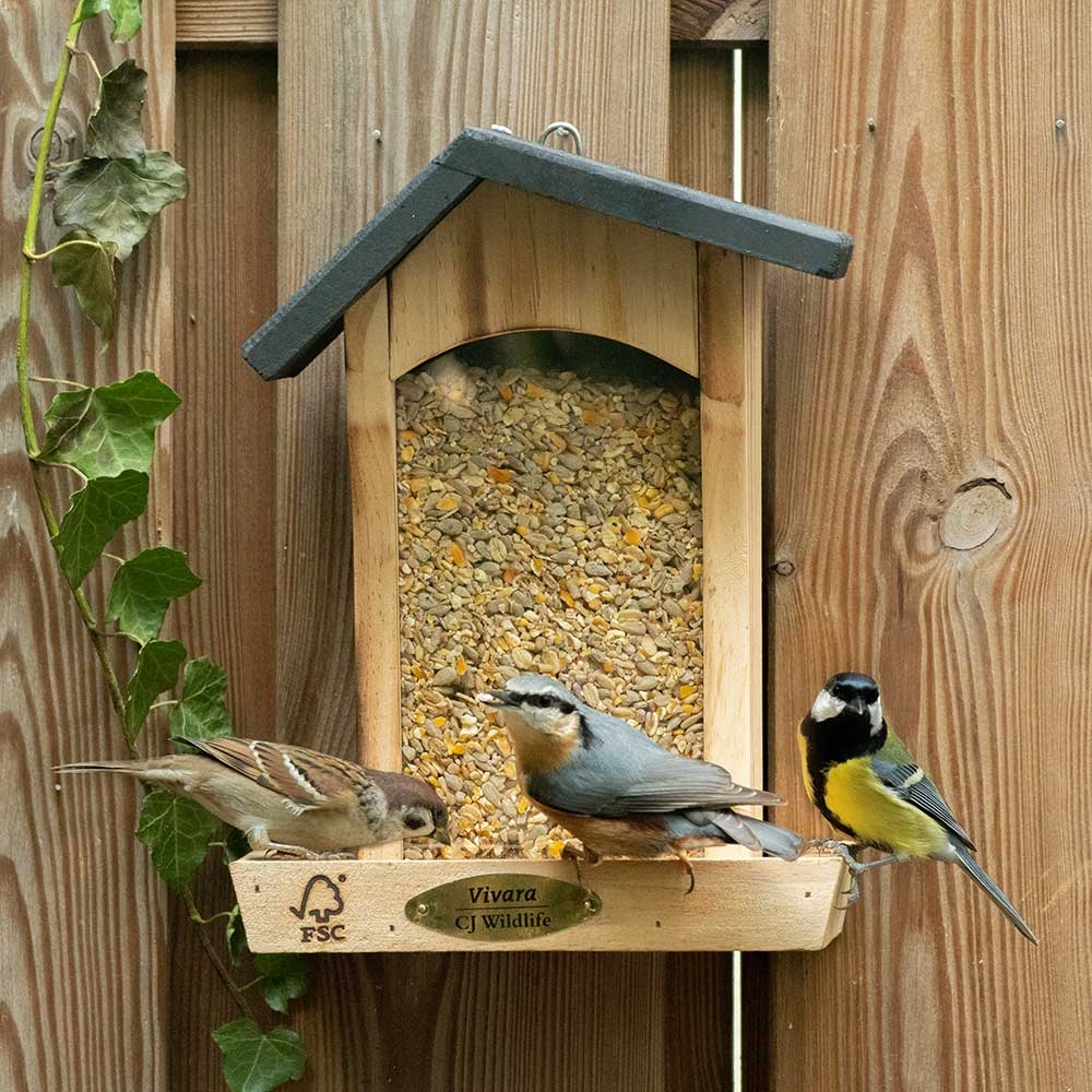 Houston Bird Seed Feeder