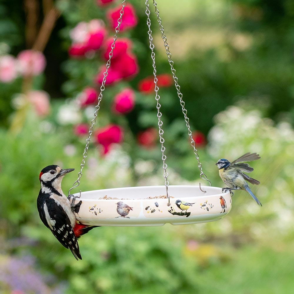 Garden Birds Feeding Bowl by Myrte