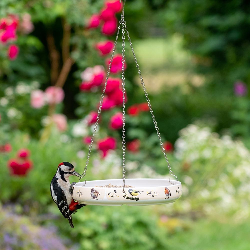 Mangeoire les oiseaux de Myrte