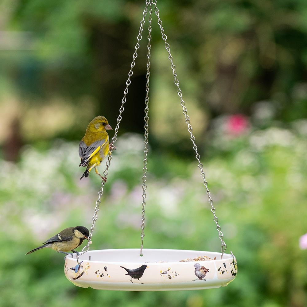 Mangeoire les oiseaux de Myrte