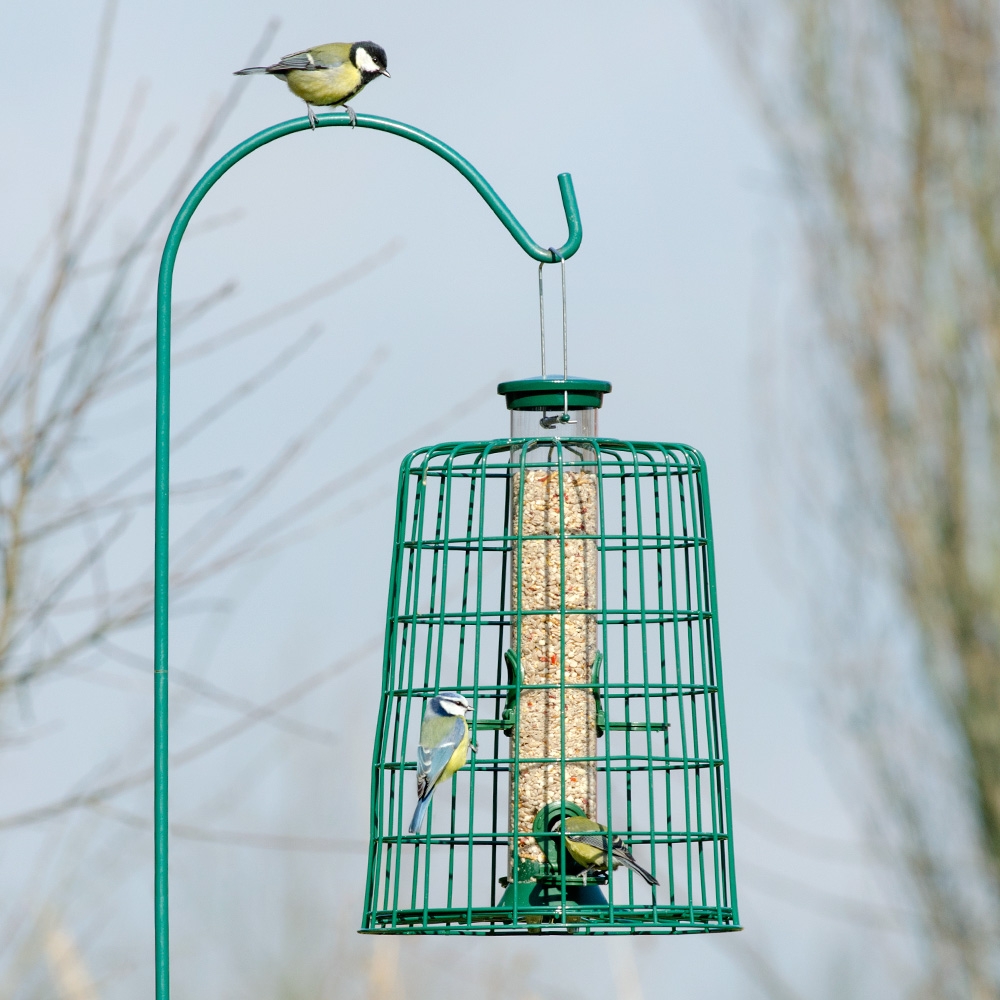 Defender 4 Port Bird Seed Feeder with Guardian