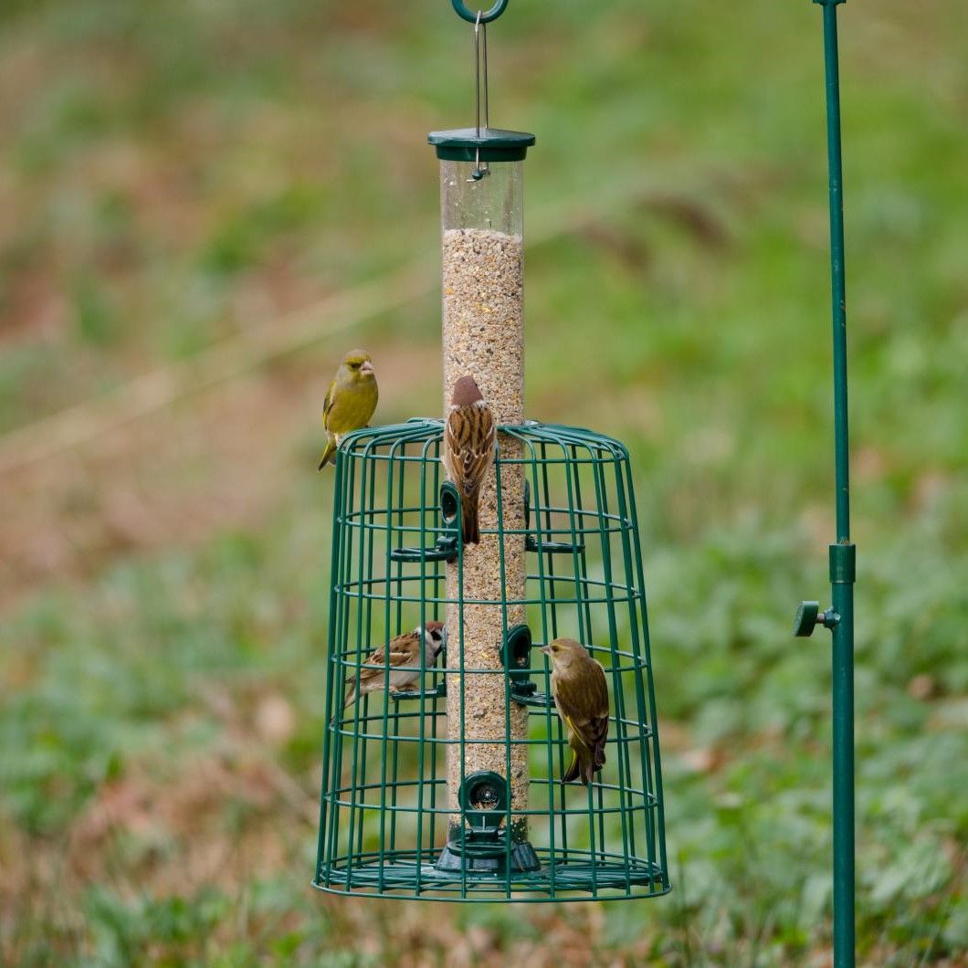 Defender 6 Port Bird Seed Feeder with Guardian