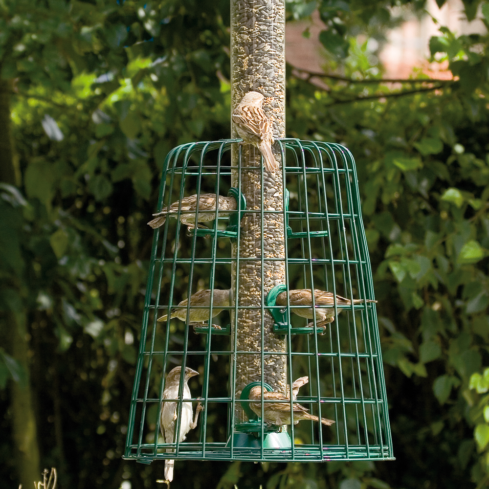 Defender 6 Port Bird Seed Feeder with Guardian