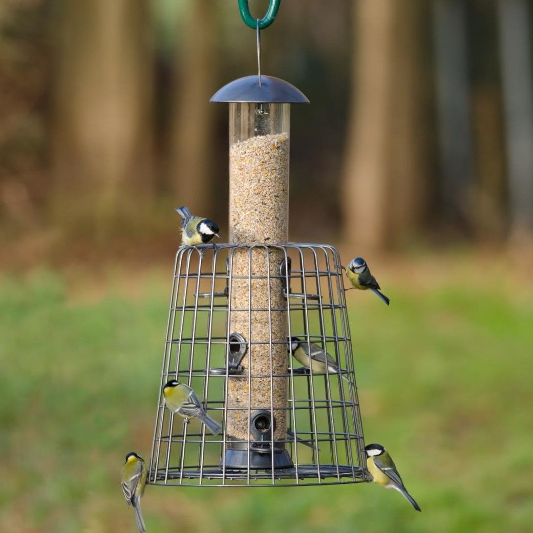 Adventurer 6 Port Bird Seed Feeder with Guardian