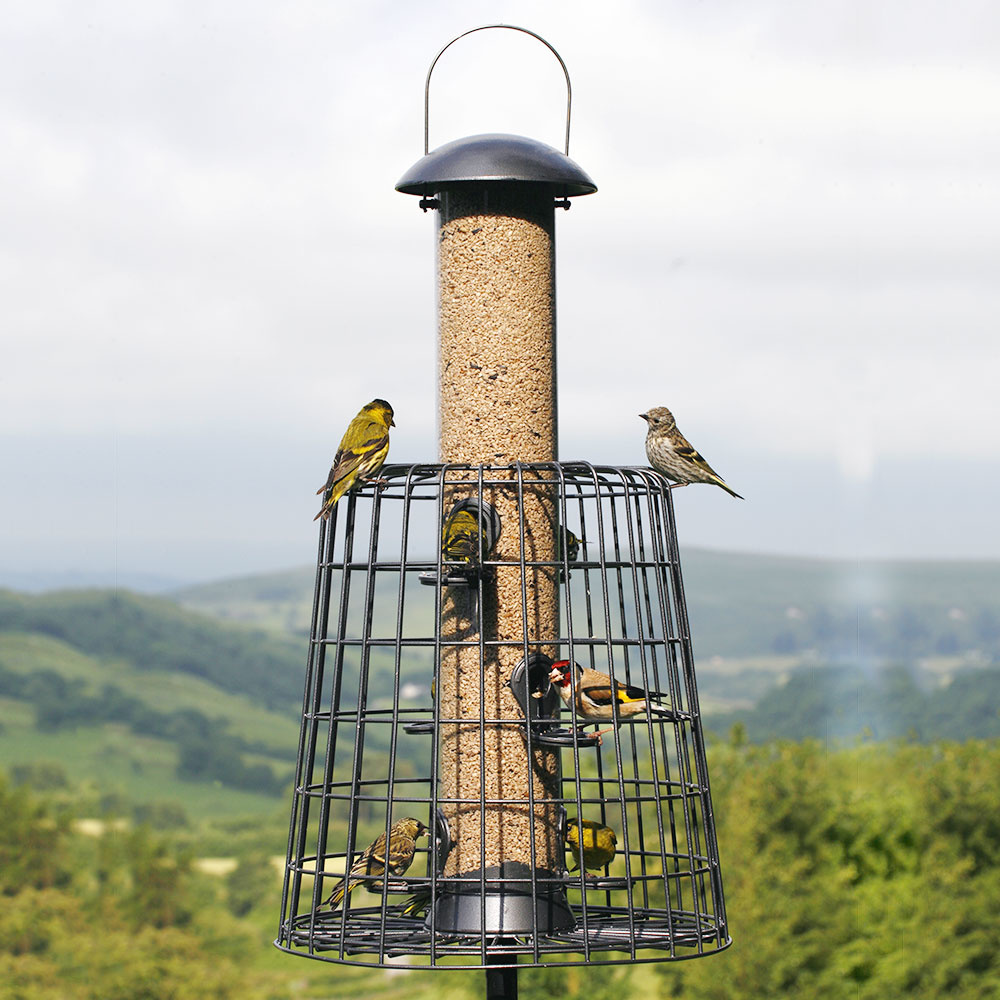 Adventurer 6 Port Bird Seed Feeder with Guardian