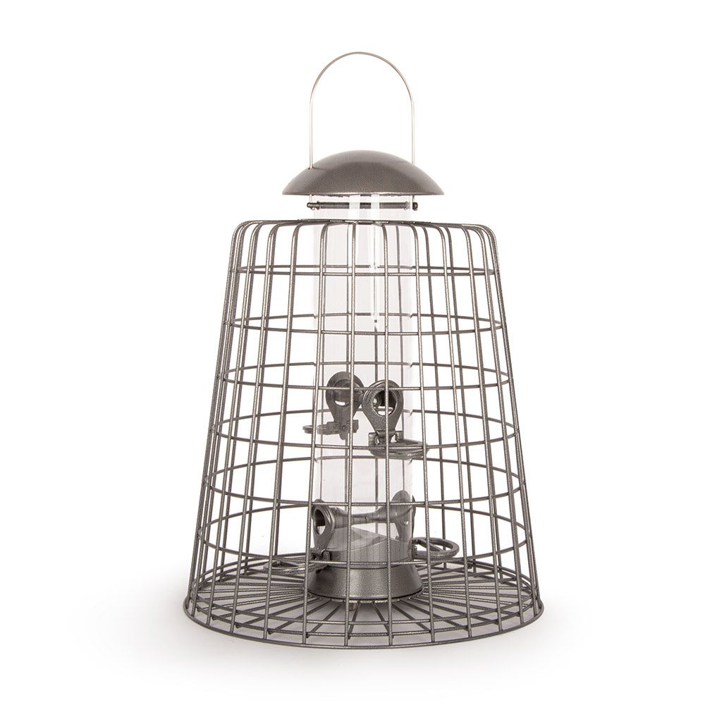 Adventurer 4 Port Bird Seed Feeder with Guardian   