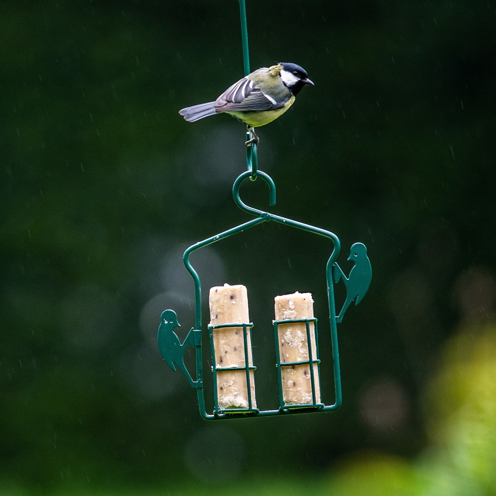 Metal Suet Log Feeder