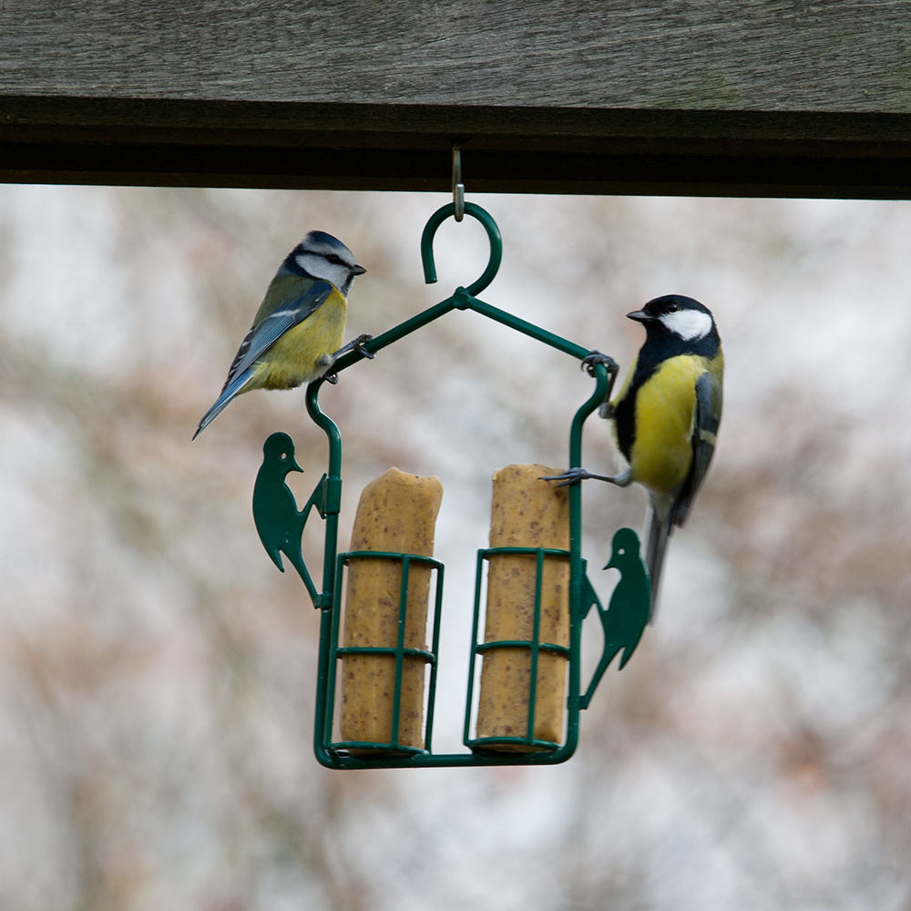 Energierollen-Halter mit Vogelmotiv