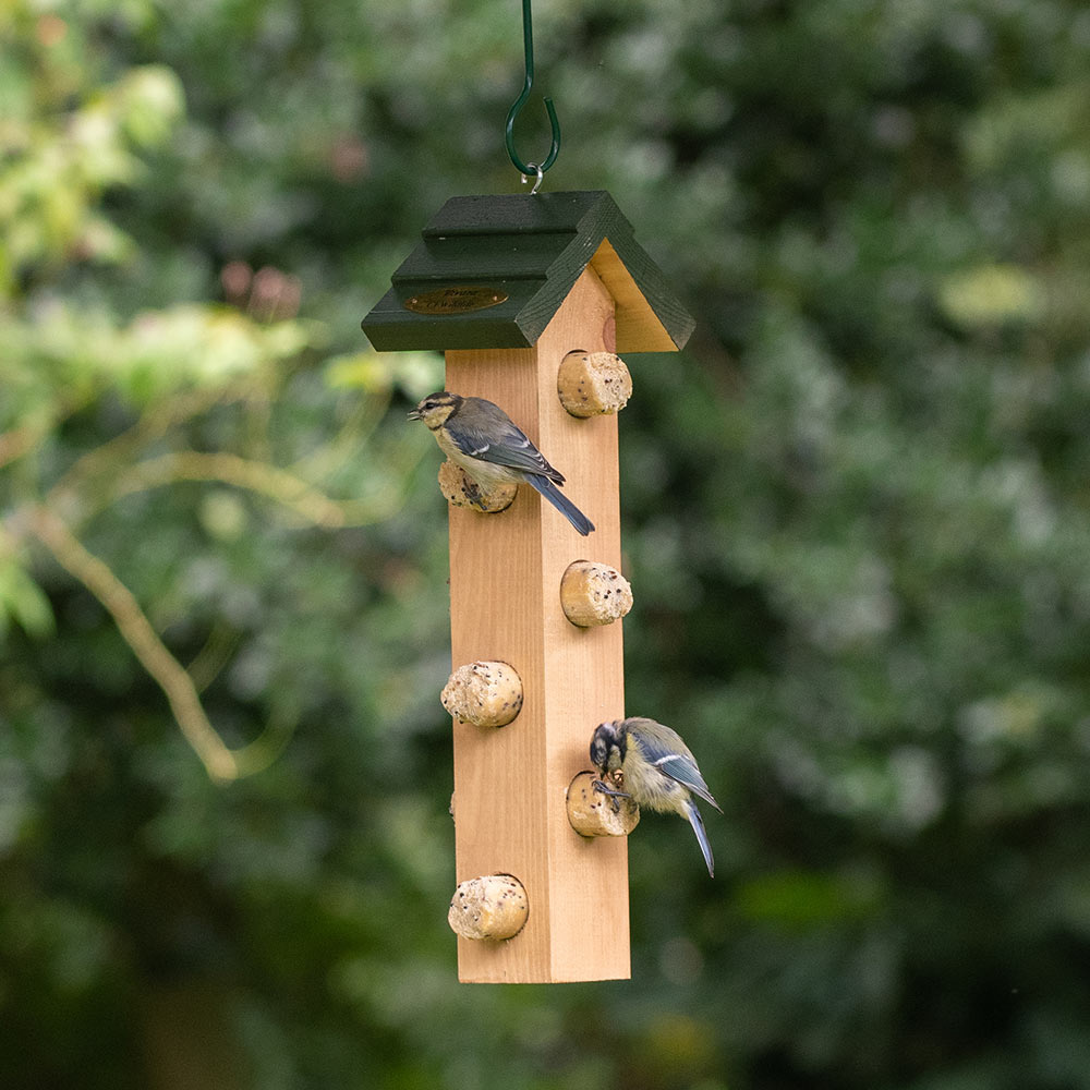 Aurora Suet Log Feeding House