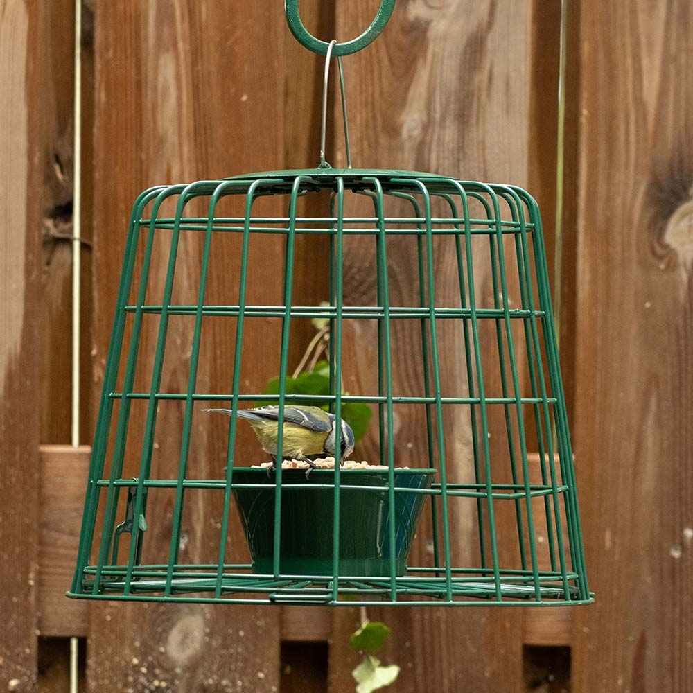 Suet Pellet & Mealworm Guardian Bird Feeder