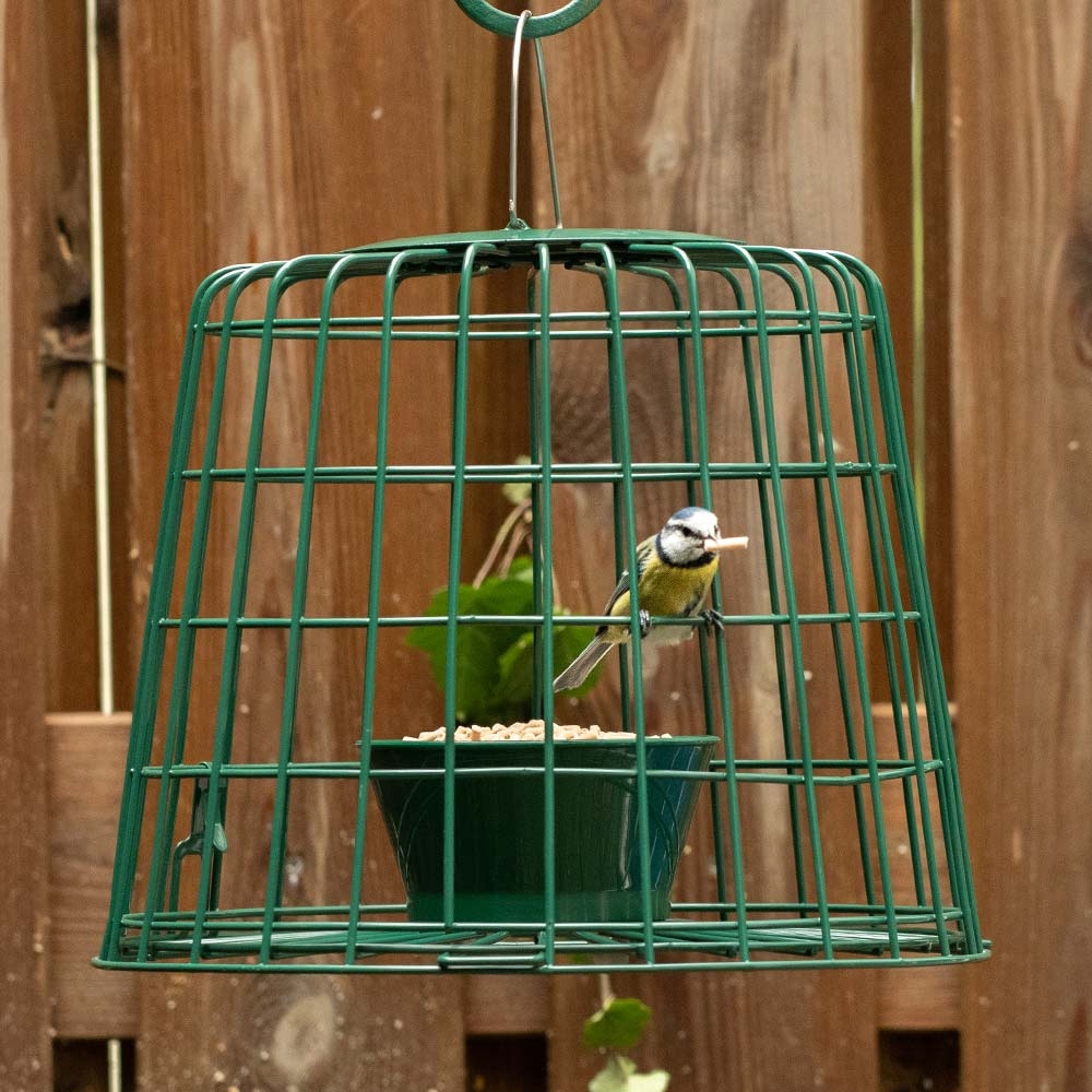 Suet Pellet & Mealworm Guardian Bird Feeder