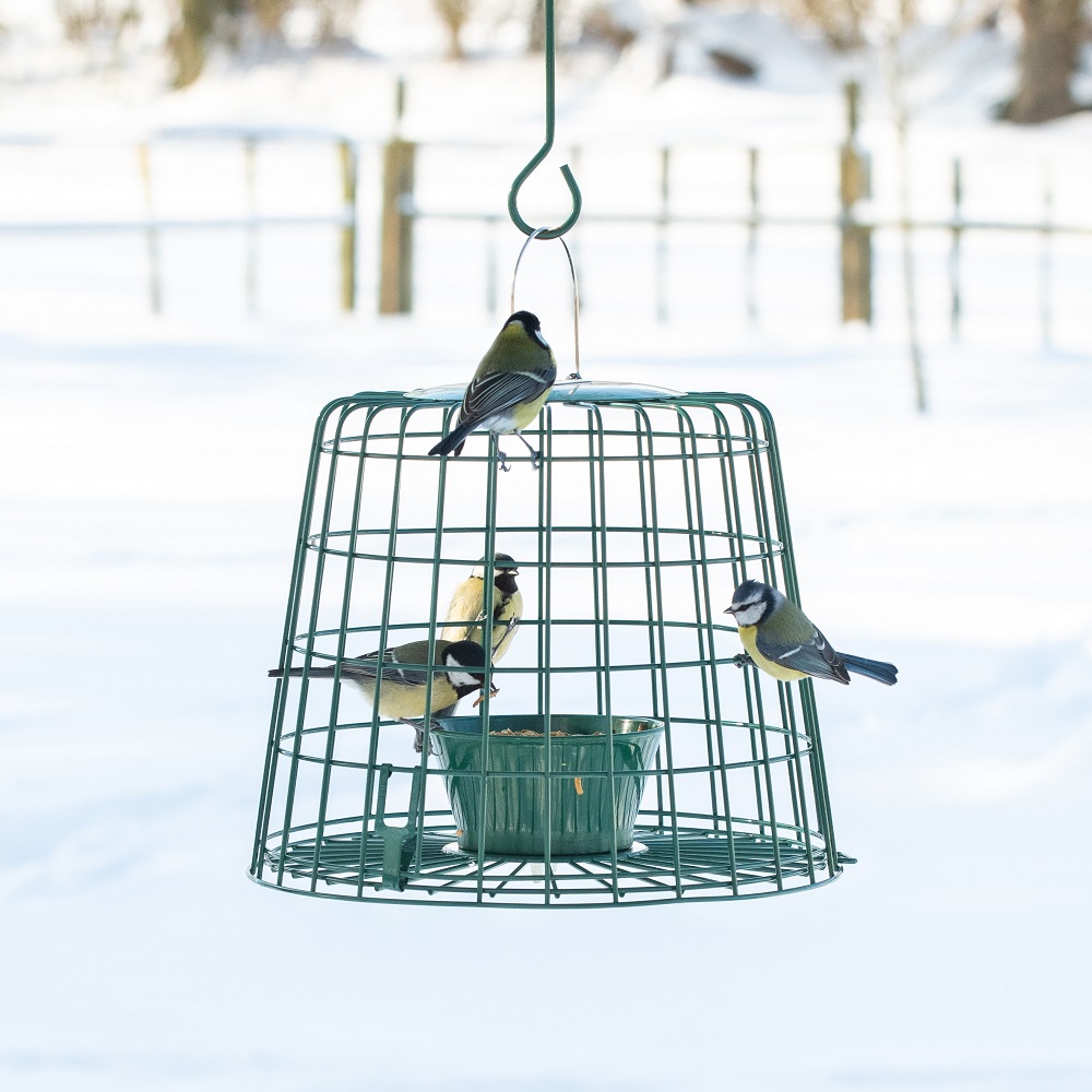 Suet Pellet & Mealworm Guardian Bird Feeder