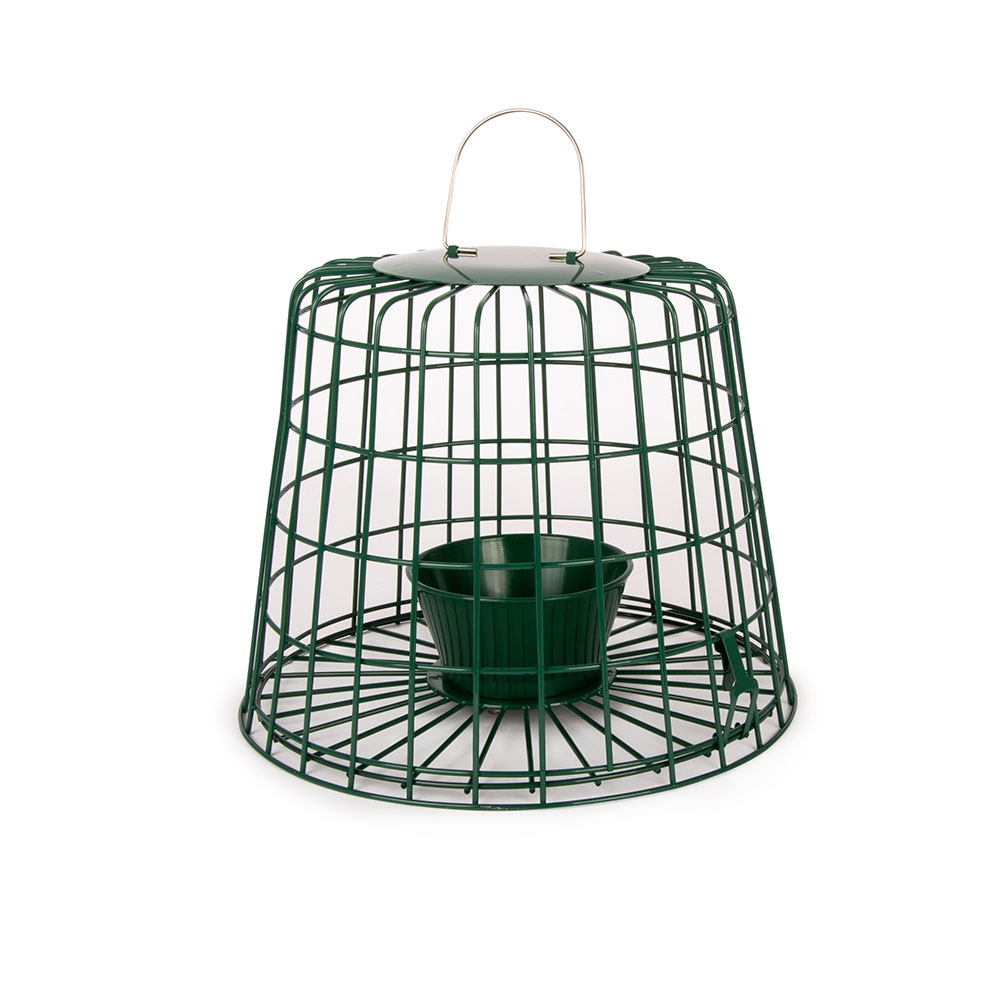 Suet Pellet & Mealworm Guardian Bird Feeder