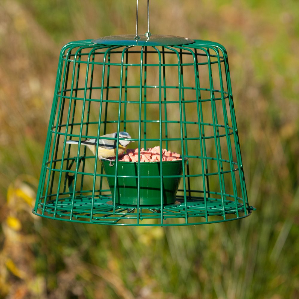 Suet Pellet & Mealworm Guardian Bird Feeder