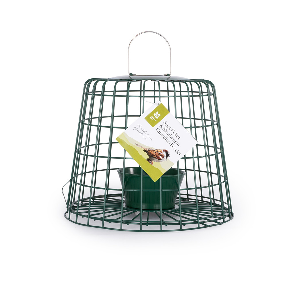 Suet Pellet & Mealworm Guardian Bird Feeder