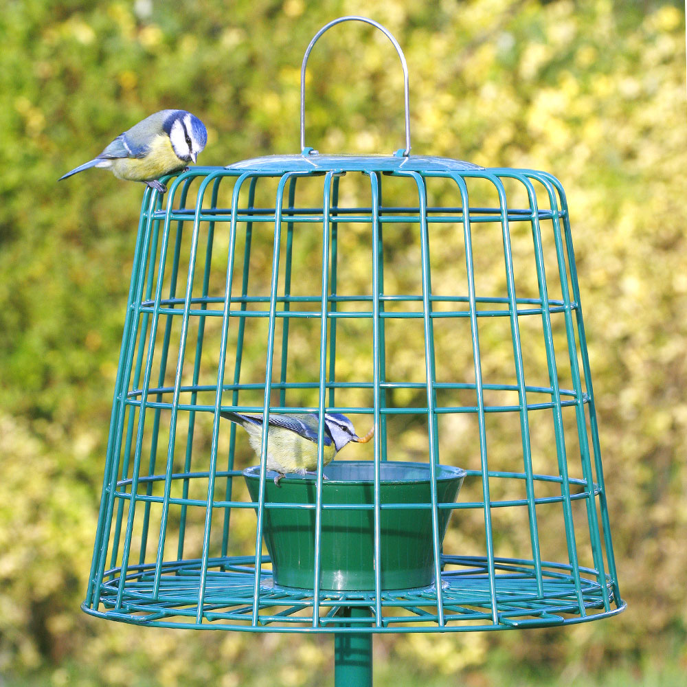 Suet Pellet & Mealworm Guardian Bird Feeder